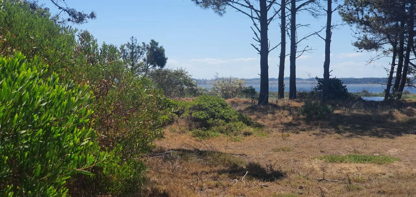 Venta de lote 1239m2 en El caracol a cuadra del mar y laguna — foto 11