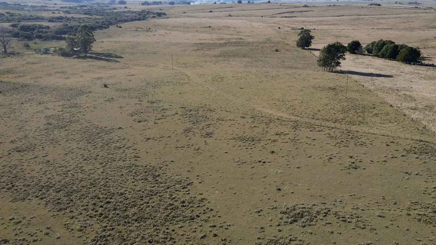 Chacra de 11.5ha en Maldonado con vista a las Sierras — foto 11