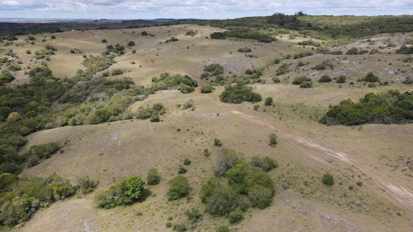 Campo de 1800ha  con casco antiguo Lavalleja — foto 26