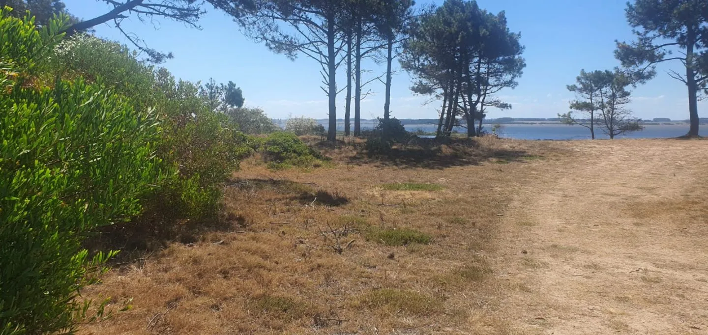 Venta de lote 1239m2 en El caracol a cuadra del mar y laguna — foto 12