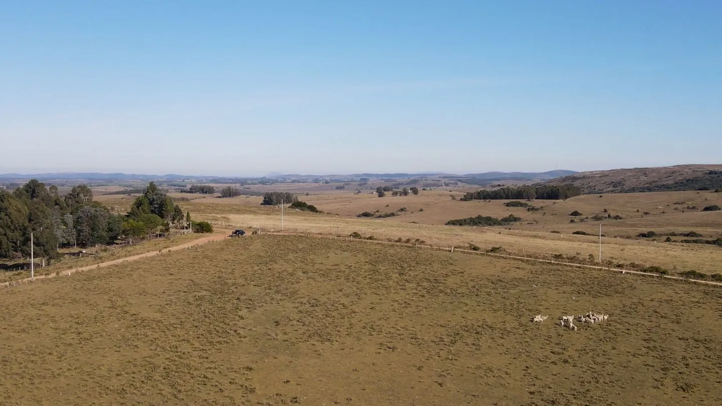 Chacra de 11.5ha en Maldonado con vista a las Sierras — foto 12