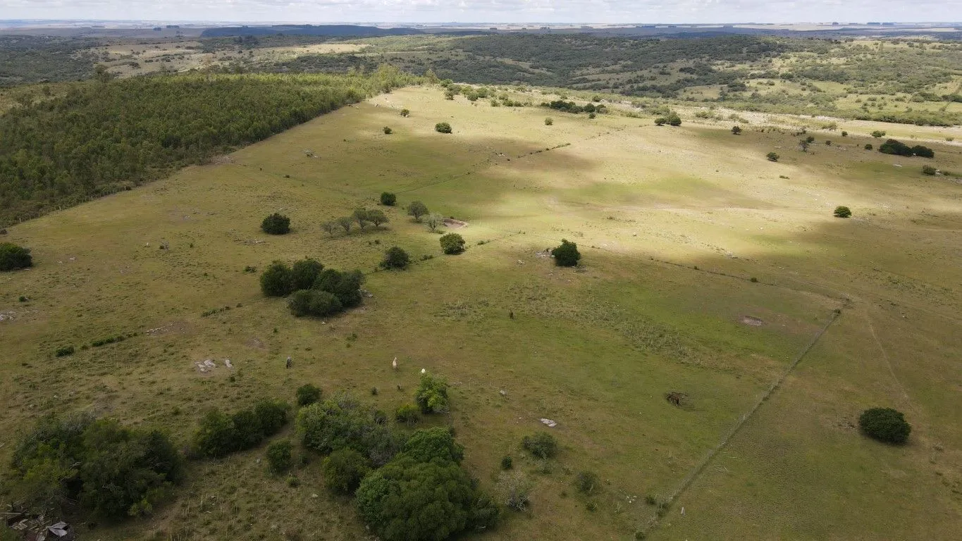 Campo de 1800ha  con casco antiguo Lavalleja — foto 27