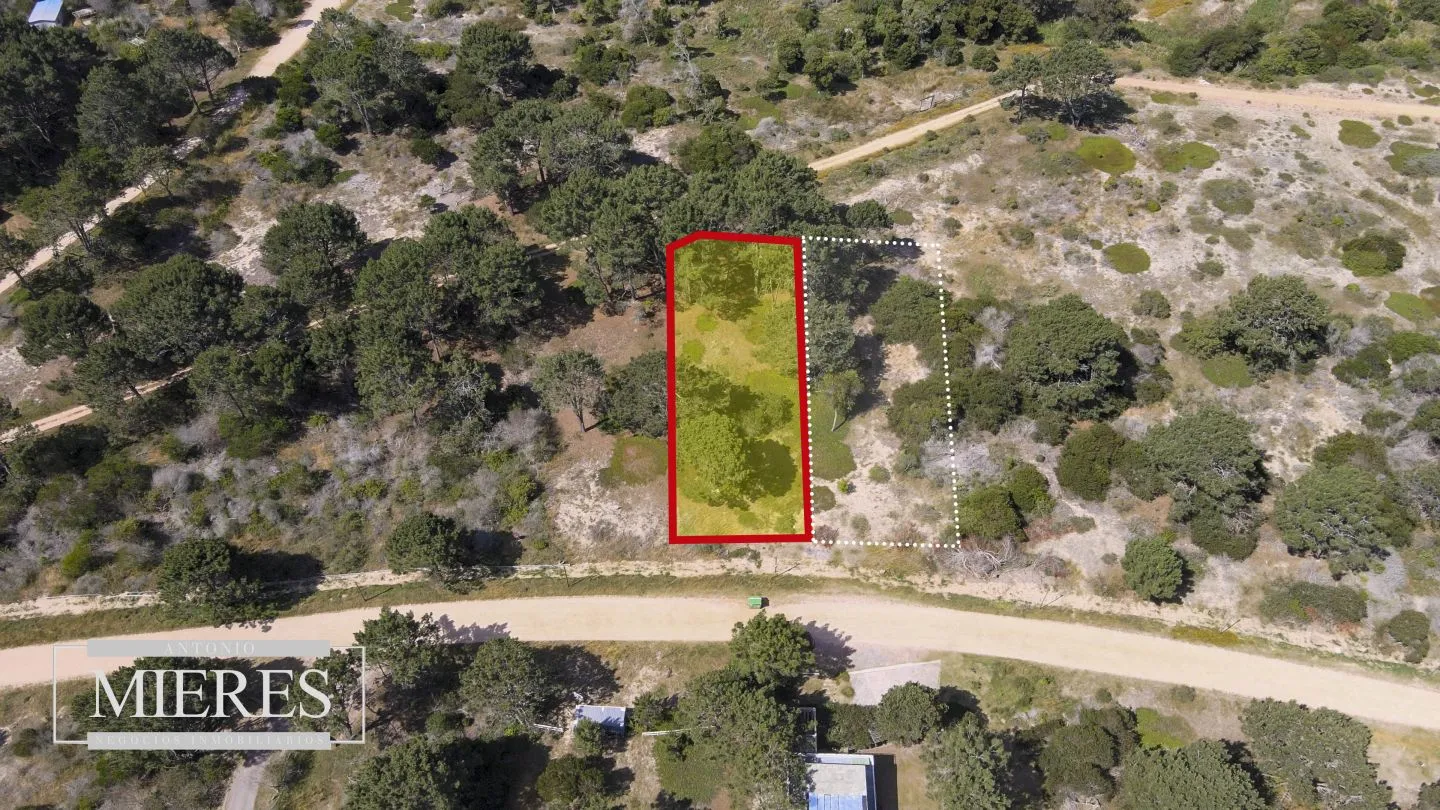 lote en Arenas de Jose Ignacio — foto 2