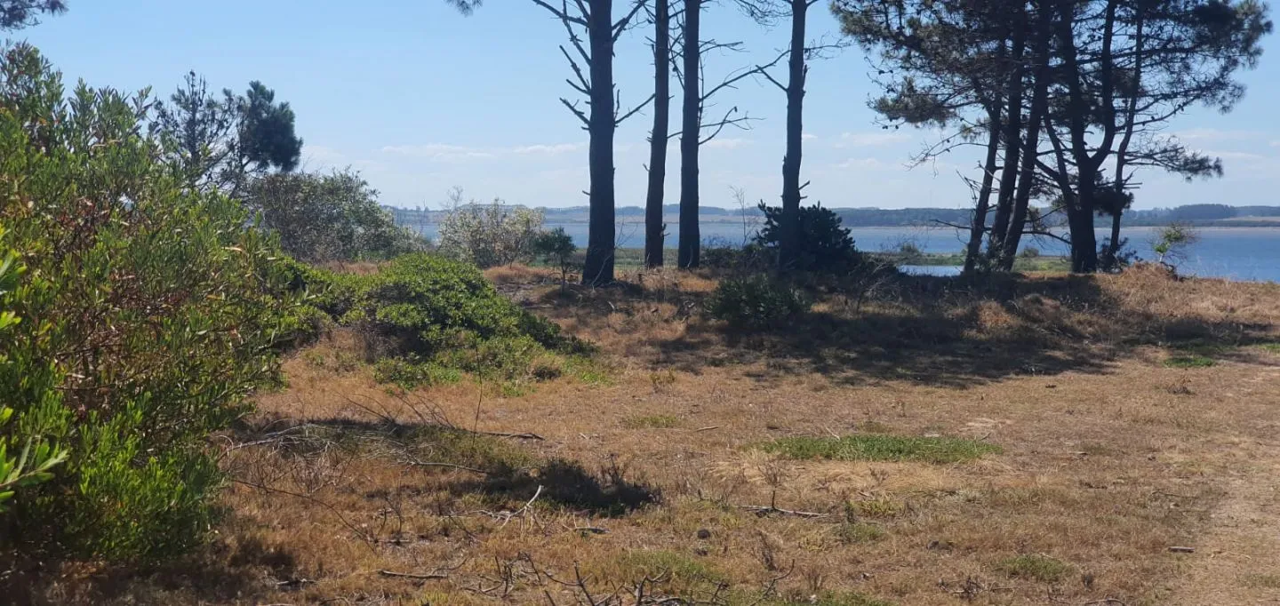 Venta de lote 1239m2 en El caracol a cuadra del mar y laguna — foto 16
