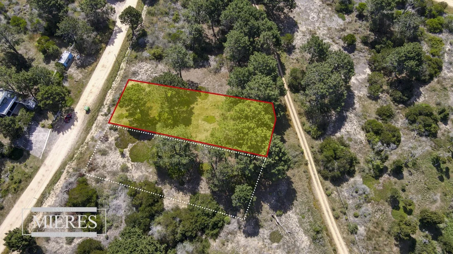 lote en Arenas de Jose Ignacio — foto 4