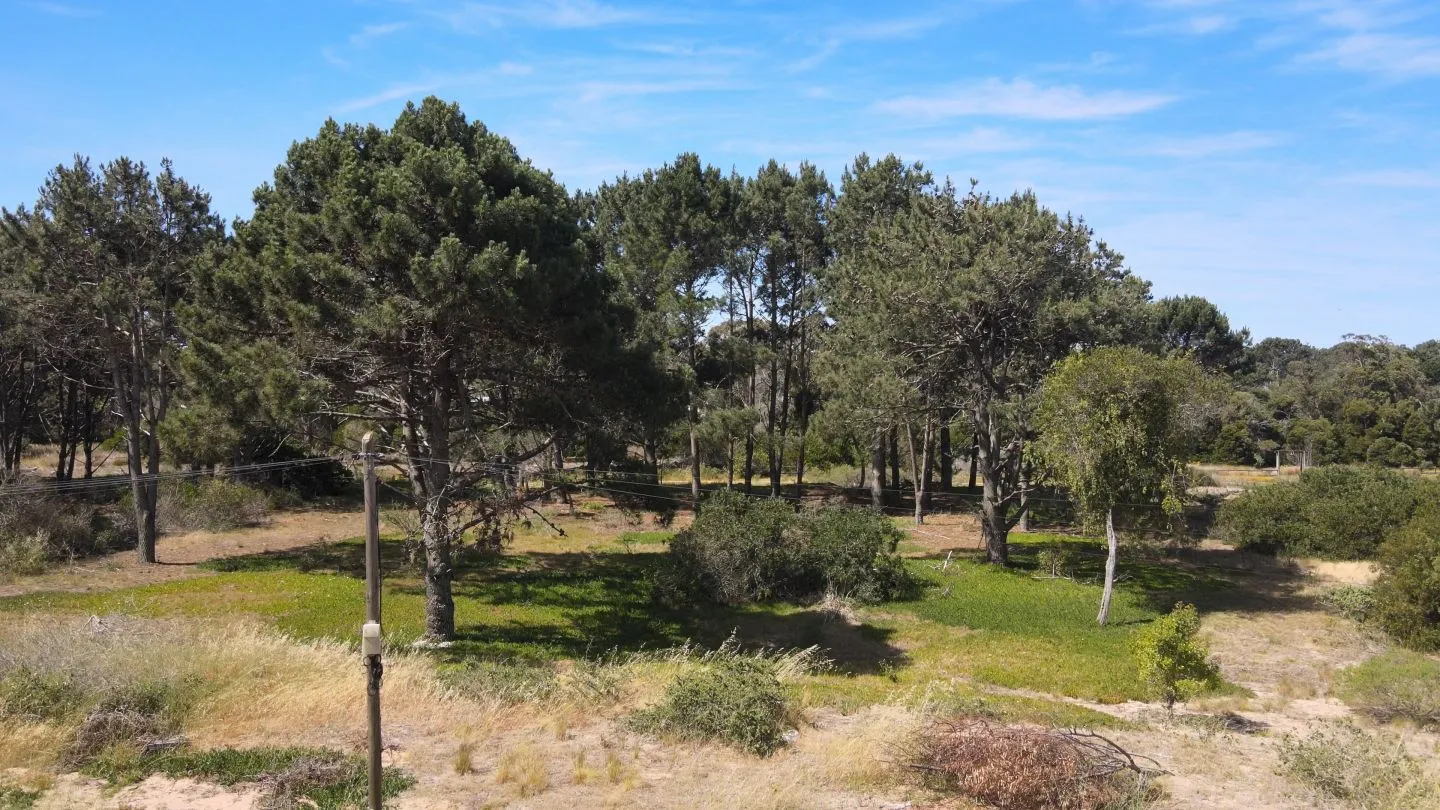 lote en Arenas de Jose Ignacio — foto 5