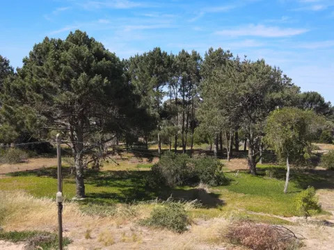 lote en Arenas de Jose Ignacio — foto 5