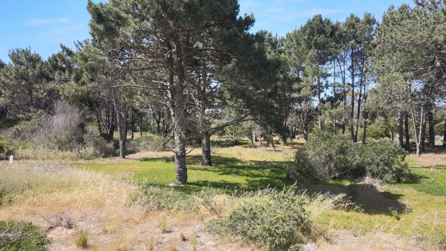 lote en Arenas de Jose Ignacio — foto 6