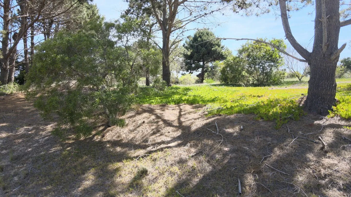 lote de 1689 mts2 en Arenas de Jose Ignacio — foto 5