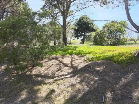 lote de 1689 mts2 en Arenas de Jose Ignacio — foto 5