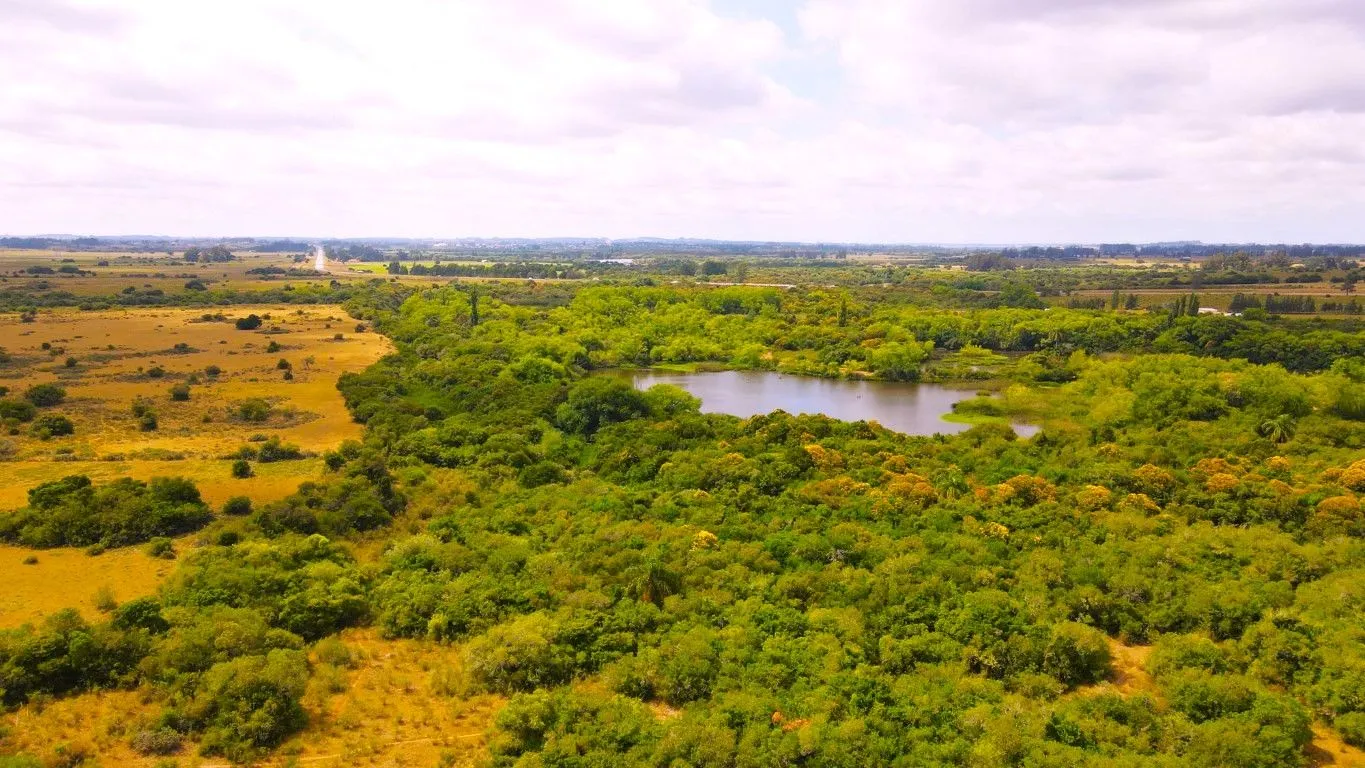 Campo en venta de 63 ha en Maldonado Uruguay — foto 2
