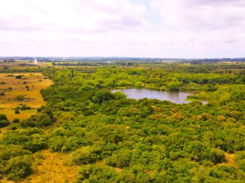 Campo en venta de 63 ha en Maldonado Uruguay — foto 2