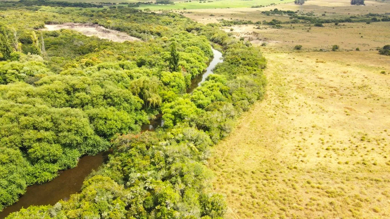 Campo en venta de 63 ha en Maldonado Uruguay — foto 3