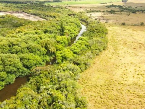 Campo en venta de 63 ha en Maldonado Uruguay — foto 3