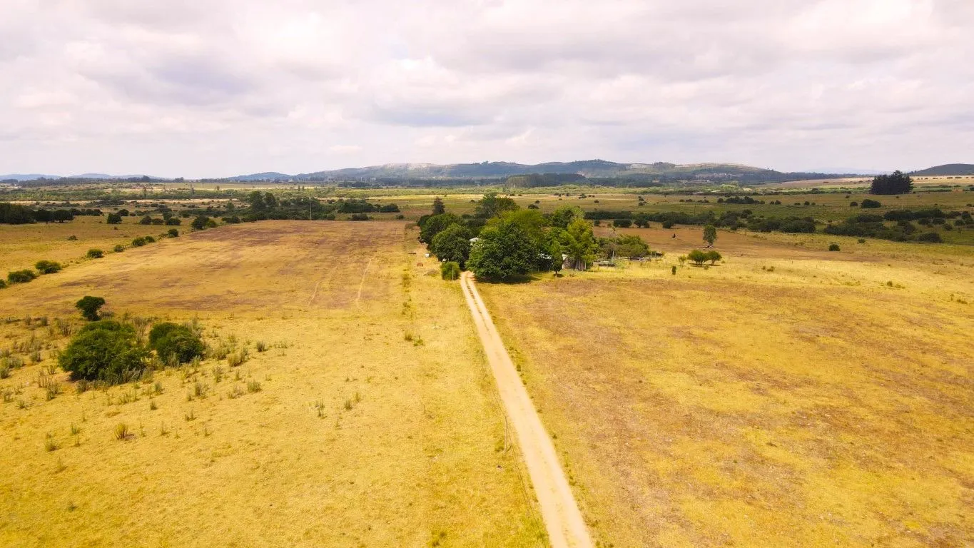 Campo en venta de 63 ha en Maldonado Uruguay — foto 4