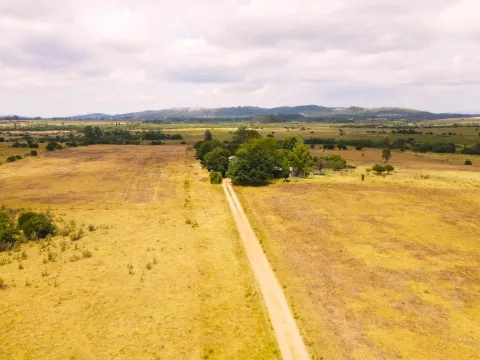 Campo en venta de 63 ha en Maldonado Uruguay — foto 4