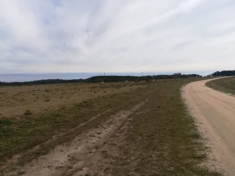 Chacra / Campo 5 ha en José Ignacio