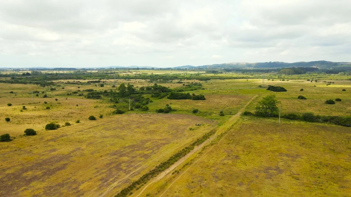 Campo en venta de 63 ha en Maldonado Uruguay — foto 5