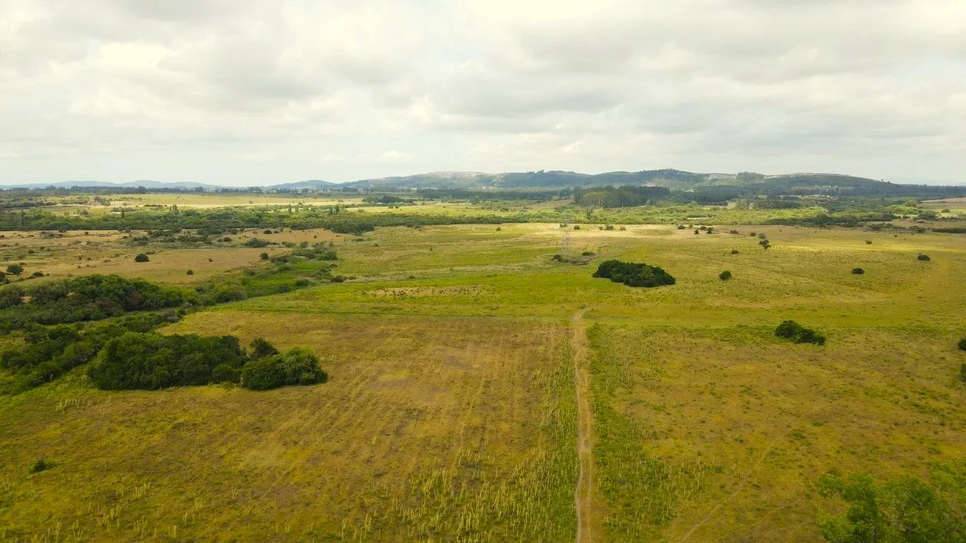 Campo en venta de 63 ha en Maldonado Uruguay — foto 6