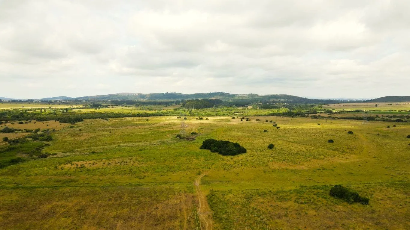 Campo en venta de 63 ha en Maldonado Uruguay — foto 7