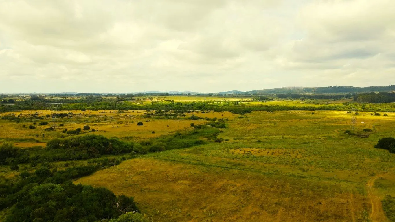 Campo en venta de 63 ha en Maldonado Uruguay — foto 8