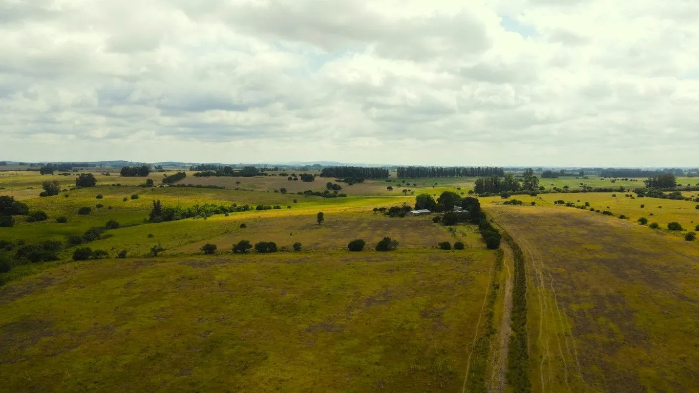 Campo en venta de 63 ha en Maldonado Uruguay — foto 9