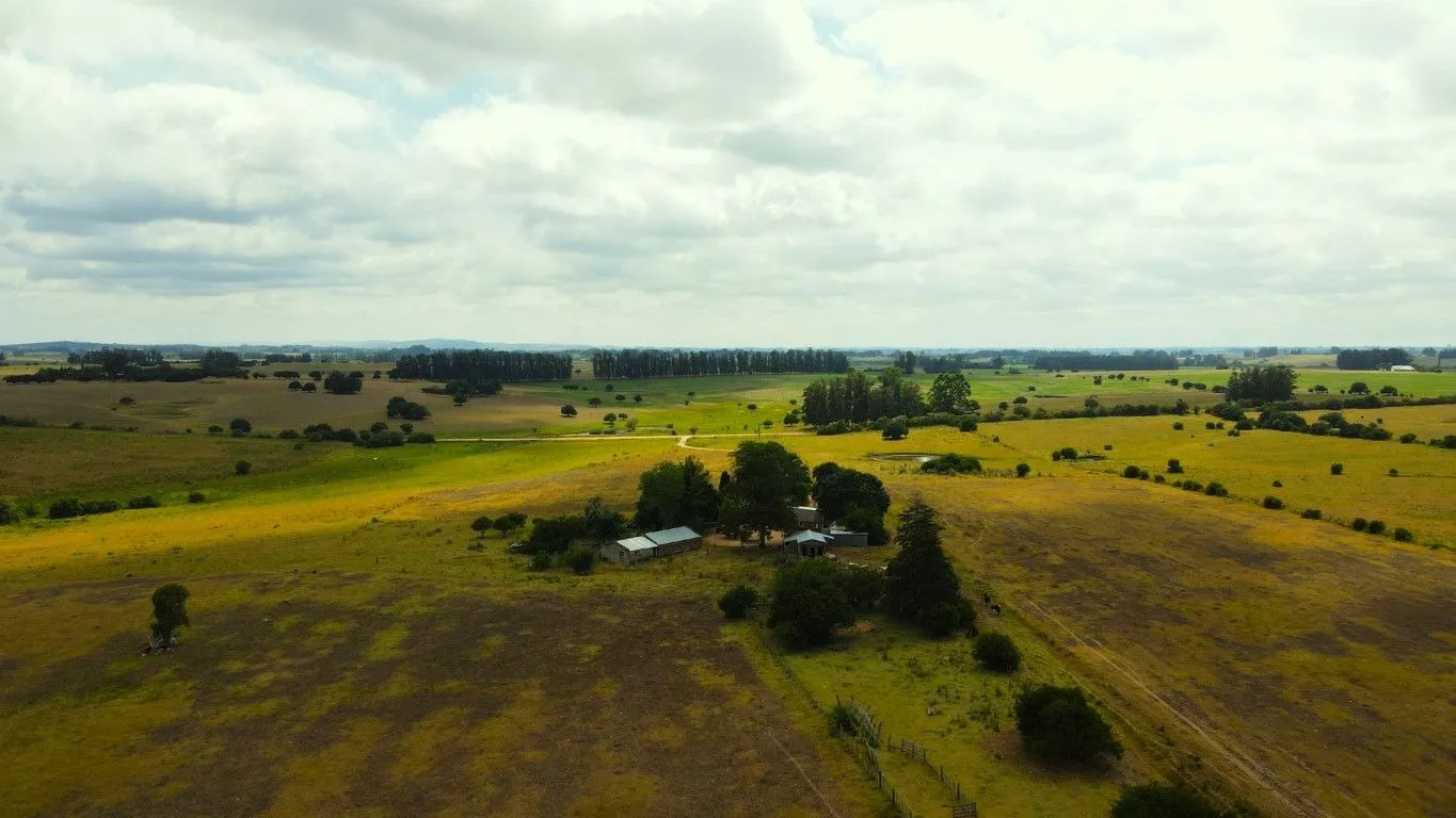 Campo en venta de 63 ha en Maldonado Uruguay — foto 10