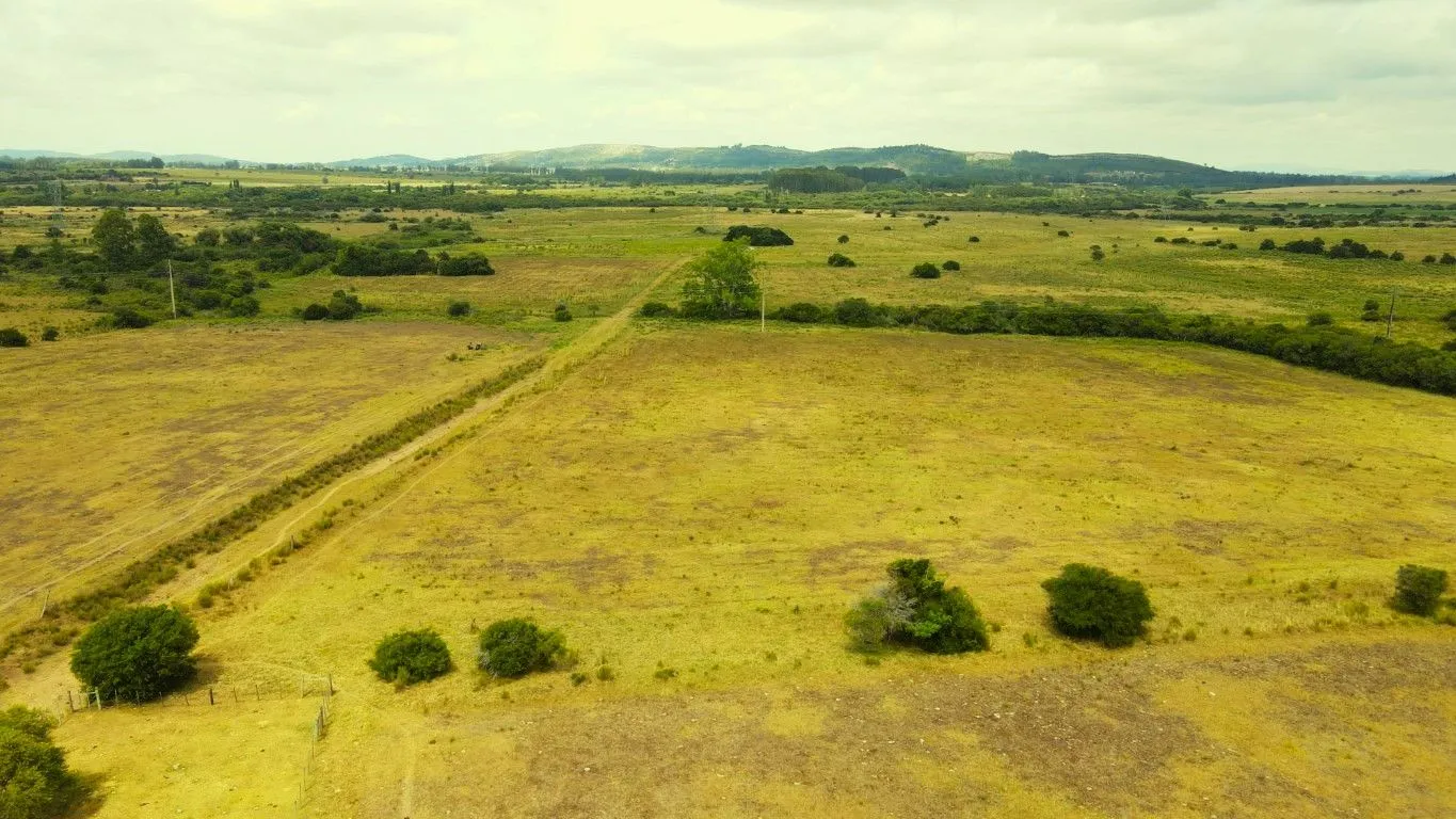 Campo en venta de 63 ha en Maldonado Uruguay — foto 11