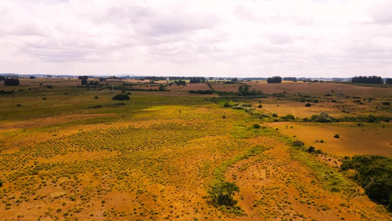 Campo en venta de 63 ha en Maldonado Uruguay — foto 12