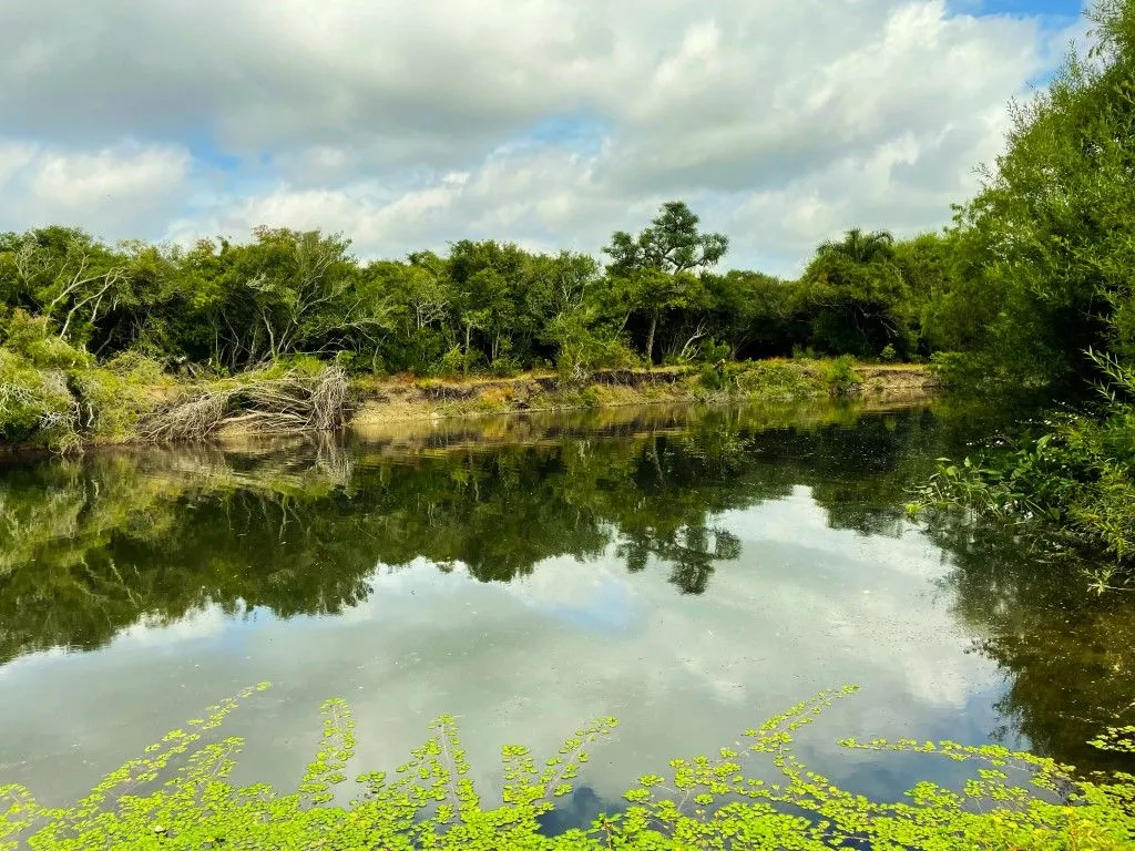 Campo en venta de 63 ha en Maldonado Uruguay — foto 13