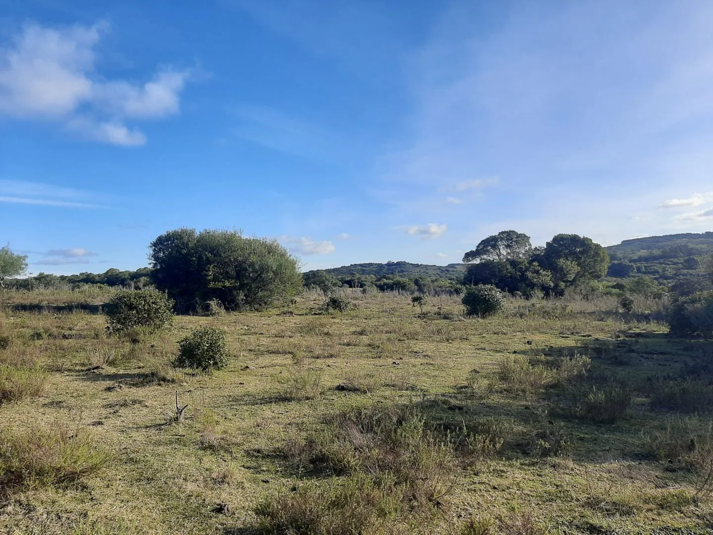 Chacra de 14ha Pueblo Eden — foto 5
