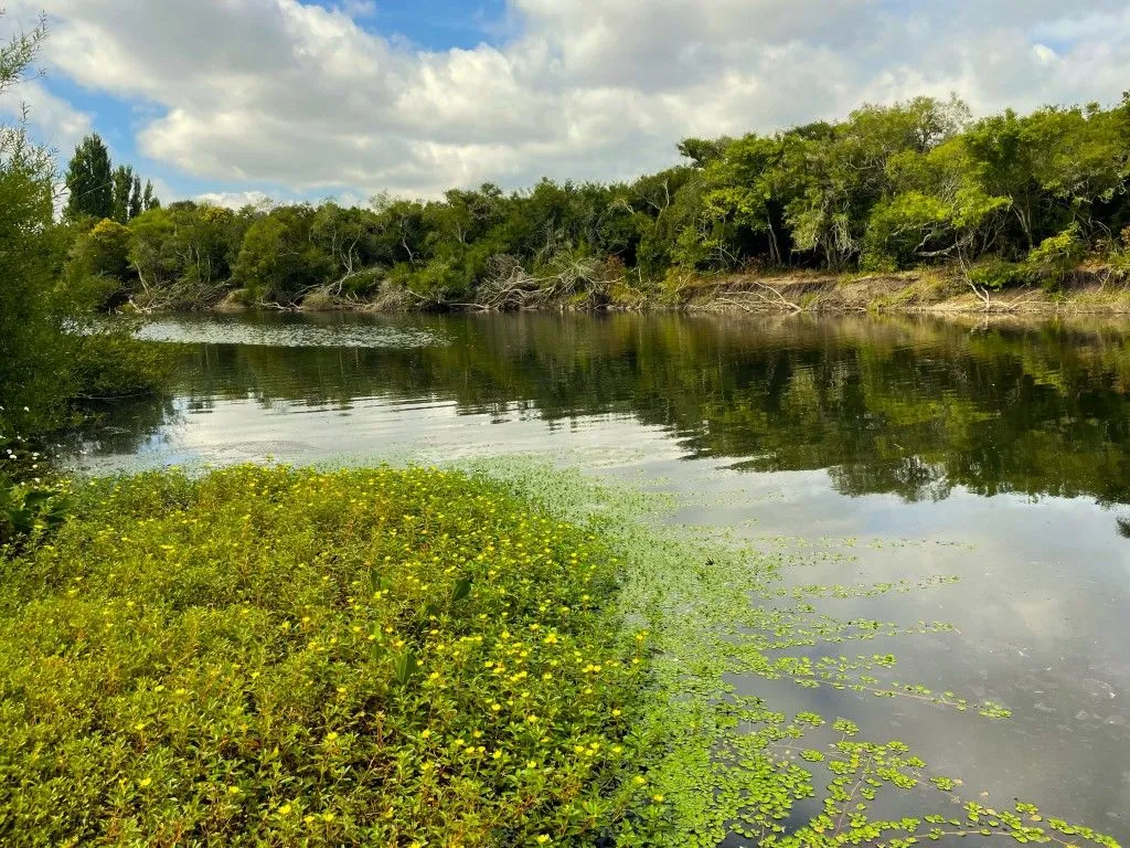 Campo en venta de 63 ha en Maldonado Uruguay — foto 14