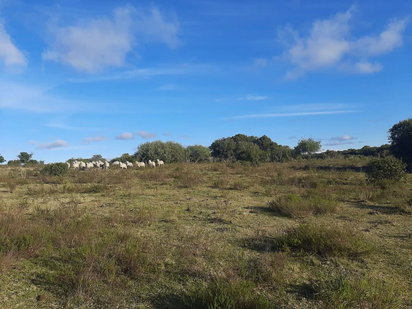 Chacra de 14ha Pueblo Eden — foto 6