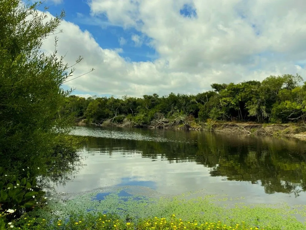 Campo en venta de 63 ha en Maldonado Uruguay — foto 15