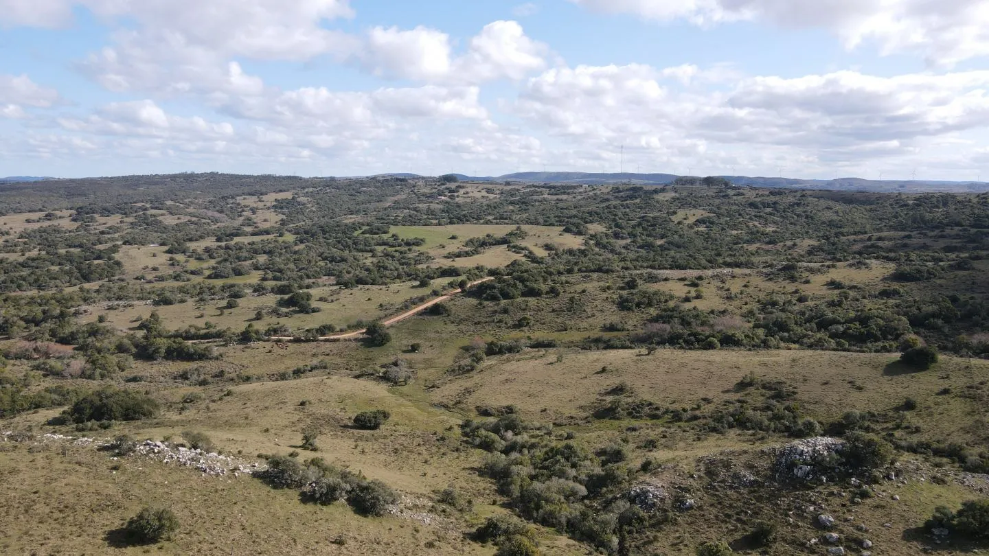 Chacra de 5ha en Catedral — foto 4