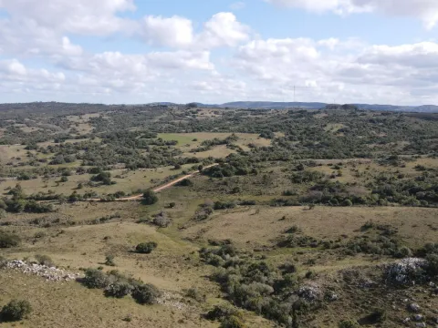 Chacra de 5ha en Catedral — foto 4
