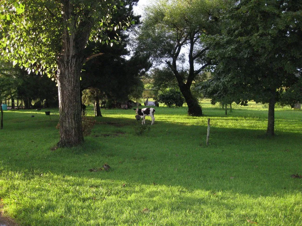 Campo en venta de 63 ha en Maldonado Uruguay — foto 17