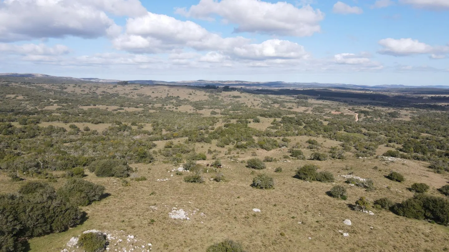 Chacra de 5ha en Catedral — foto 5