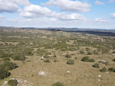 Chacra de 5ha en Catedral — foto 5