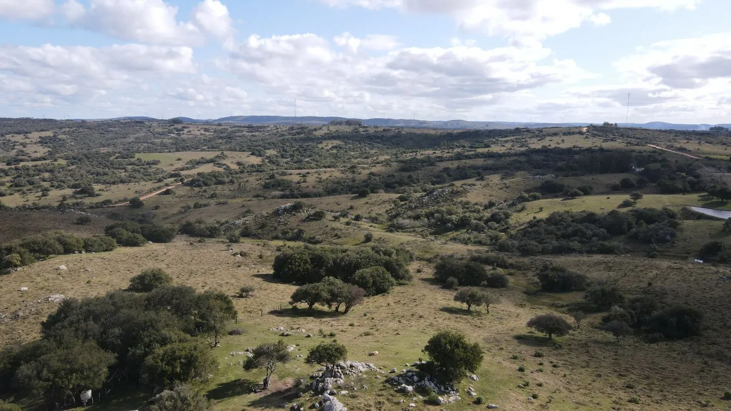 Chacra de 5ha en Catedral — foto 6