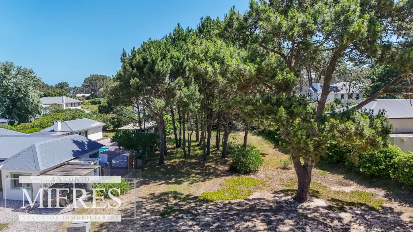 lote en Pinar del faro Jose Ignacio — foto 3
