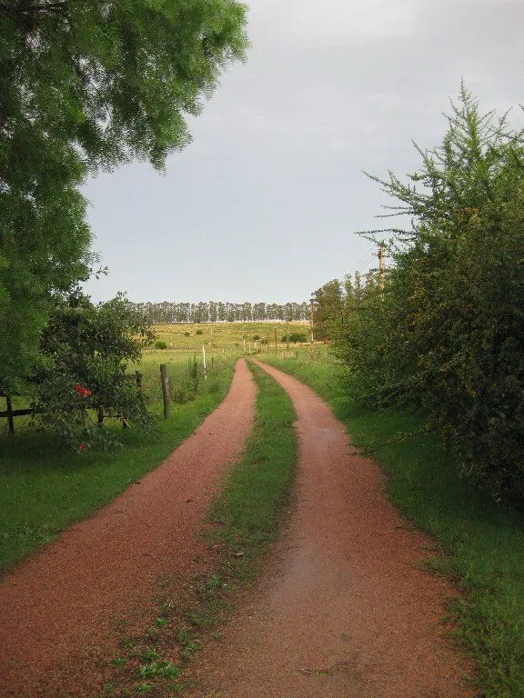Campo en venta de 63 ha en Maldonado Uruguay — foto 20