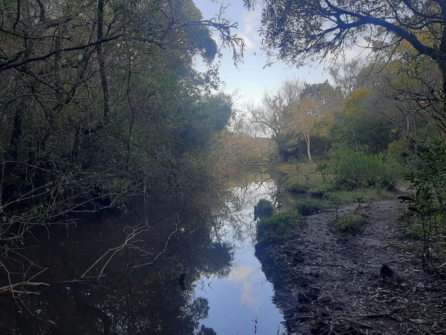 Chacra de 14ha Pueblo Eden — foto 10