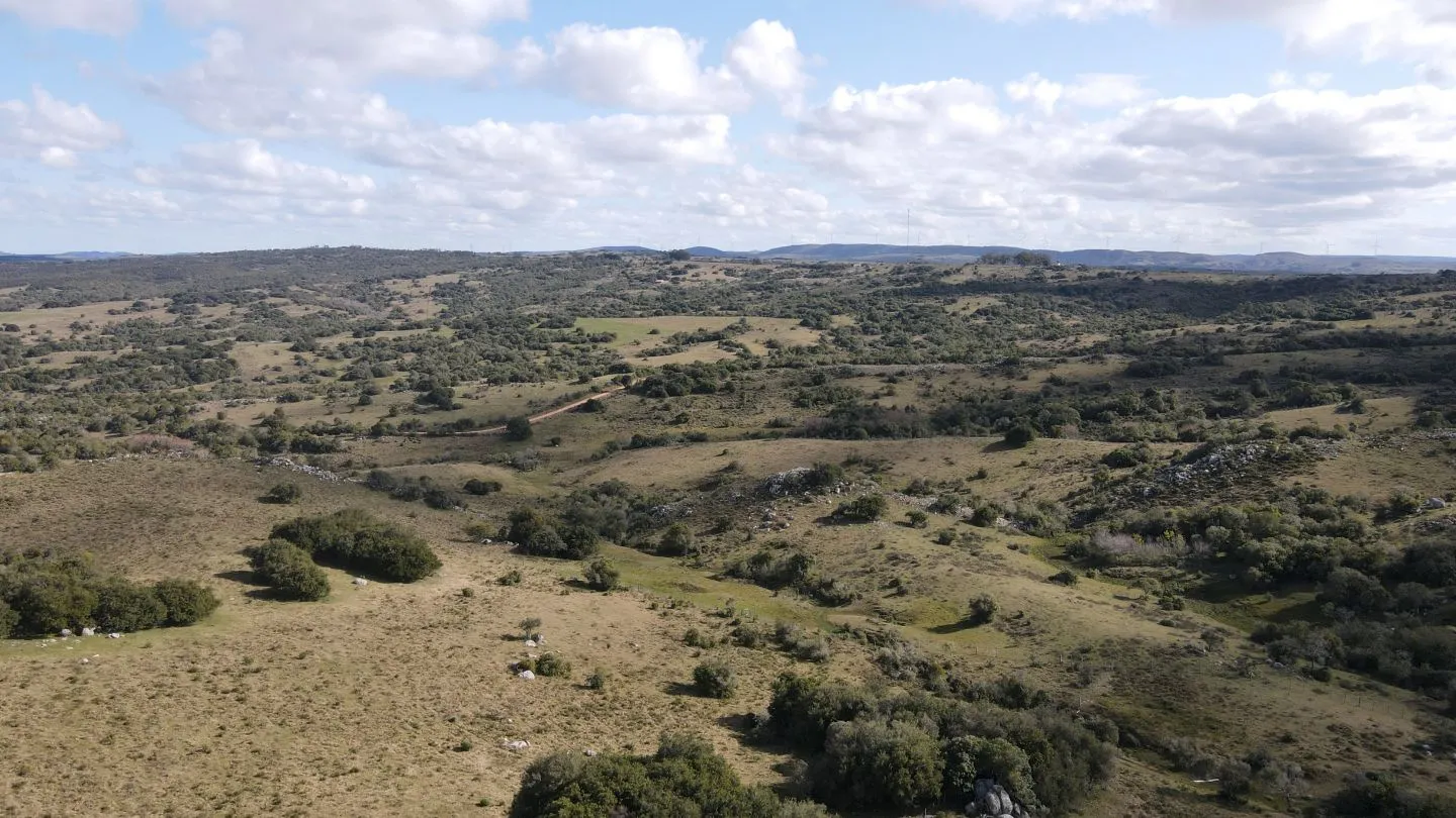 Chacra de 5ha en Catedral — foto 7