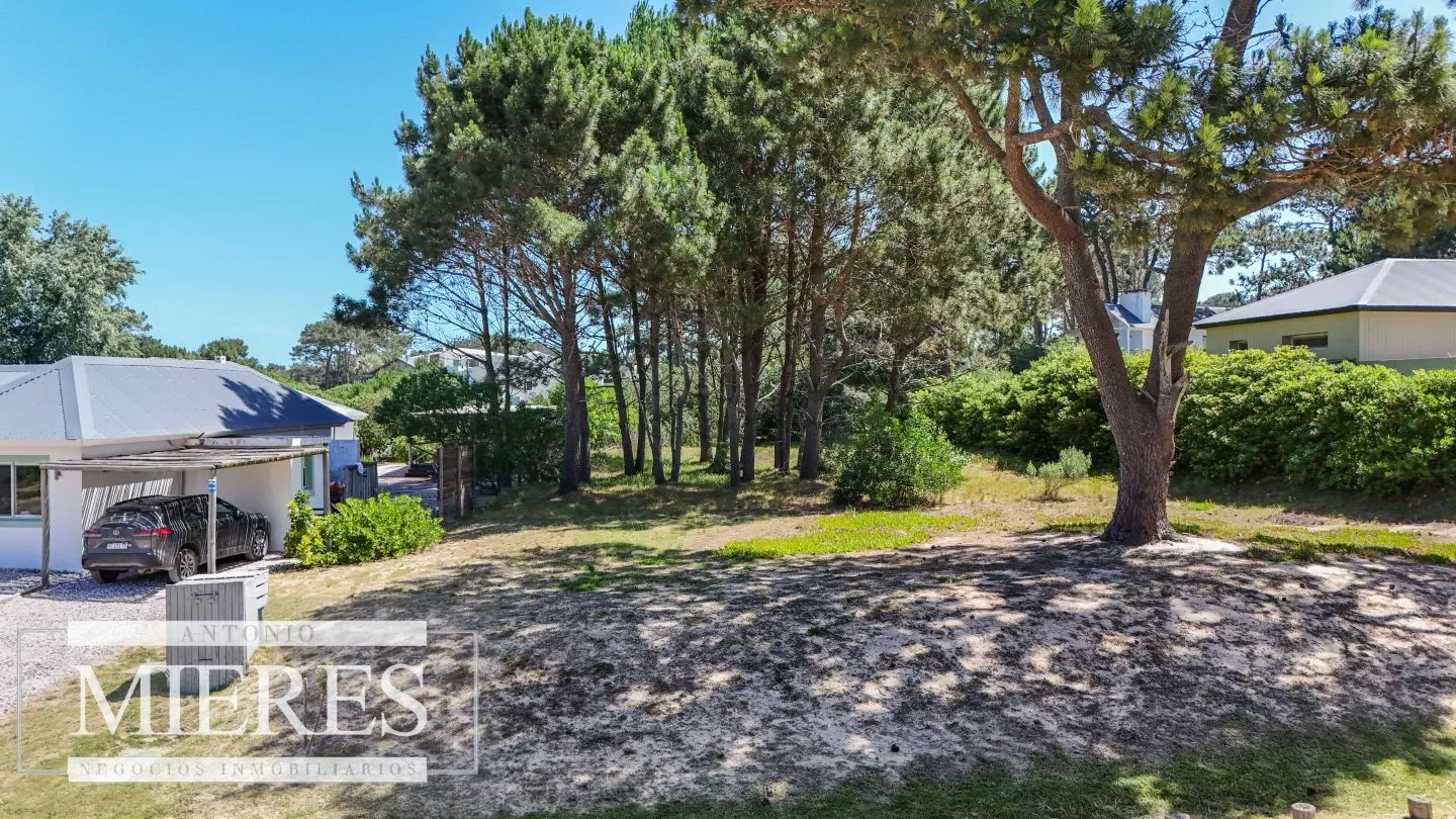 lote en Pinar del faro Jose Ignacio — foto 4