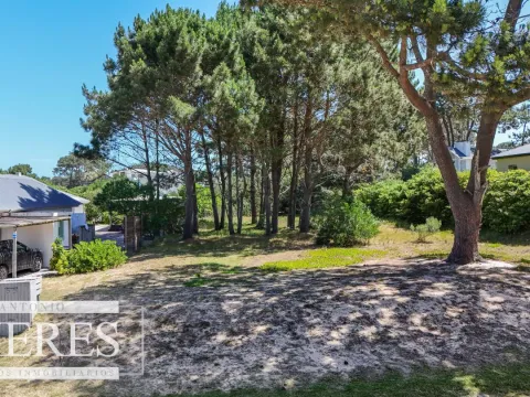lote en Pinar del faro Jose Ignacio — foto 4