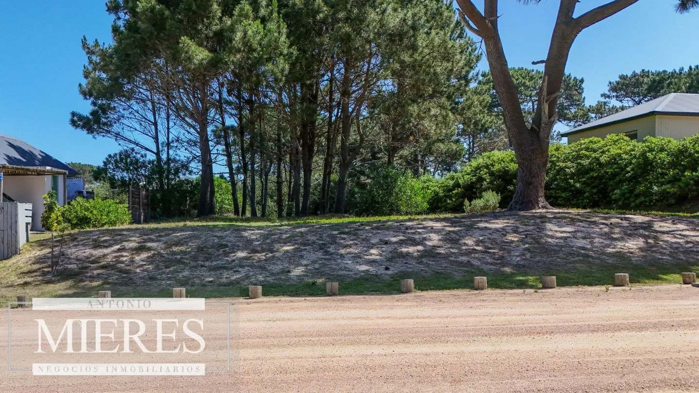 lote en Pinar del faro Jose Ignacio — foto 5