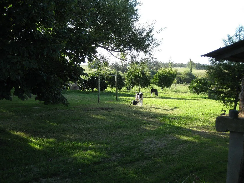 Campo en venta de 63 ha en Maldonado Uruguay — foto 23
