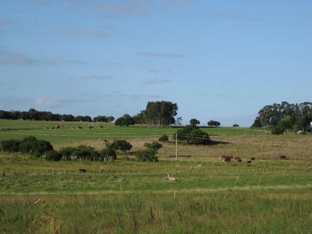 Campo en venta de 63 ha en Maldonado Uruguay — foto 24