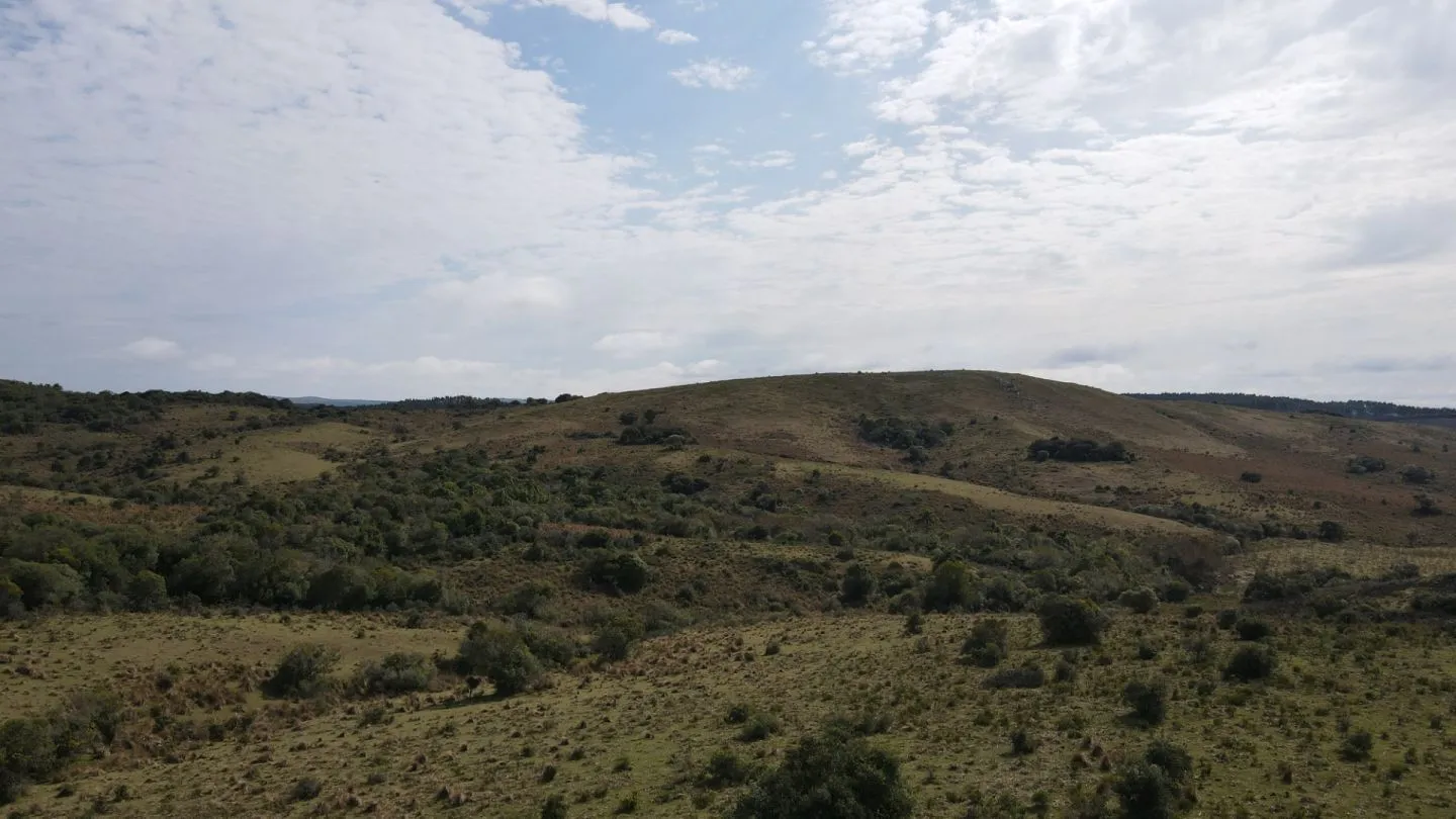 Campo en Rocha 78ha — foto 1